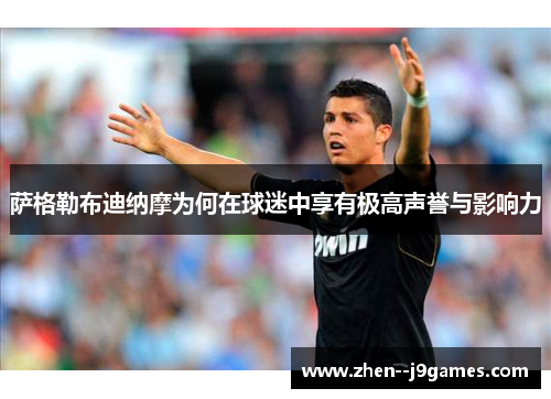 萨格勒布迪纳摩为何在球迷中享有极高声誉与影响力