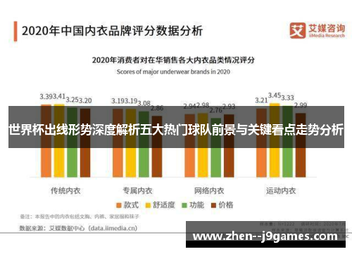 世界杯出线形势深度解析五大热门球队前景与关键看点走势分析